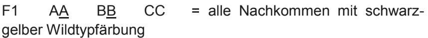 F1 AA BB CC = alle Nachkommen mit schwarz-gelber Wildtypfärbung